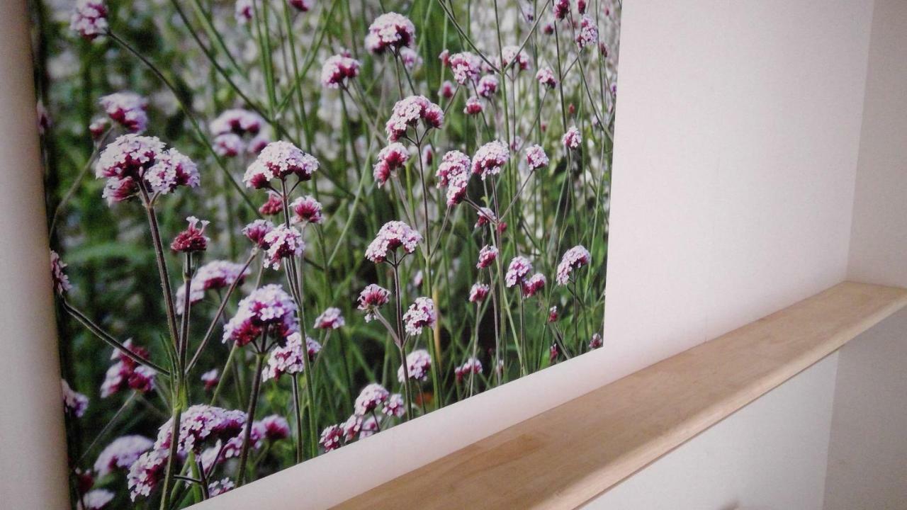 De Steenakker Hansbeke Exteriér fotografie